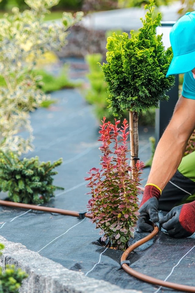 ¡Contacta con nuestros expertos en jardinería!