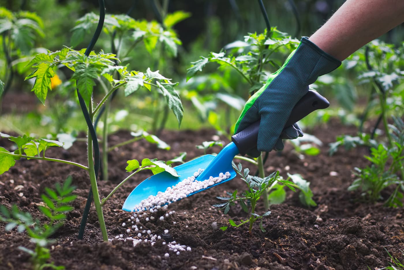 fertilizantes en Padrón