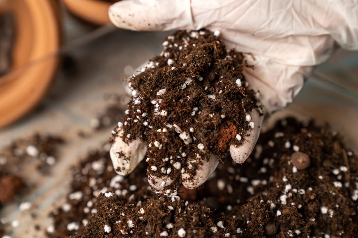 Productos de jardinería en Padrón