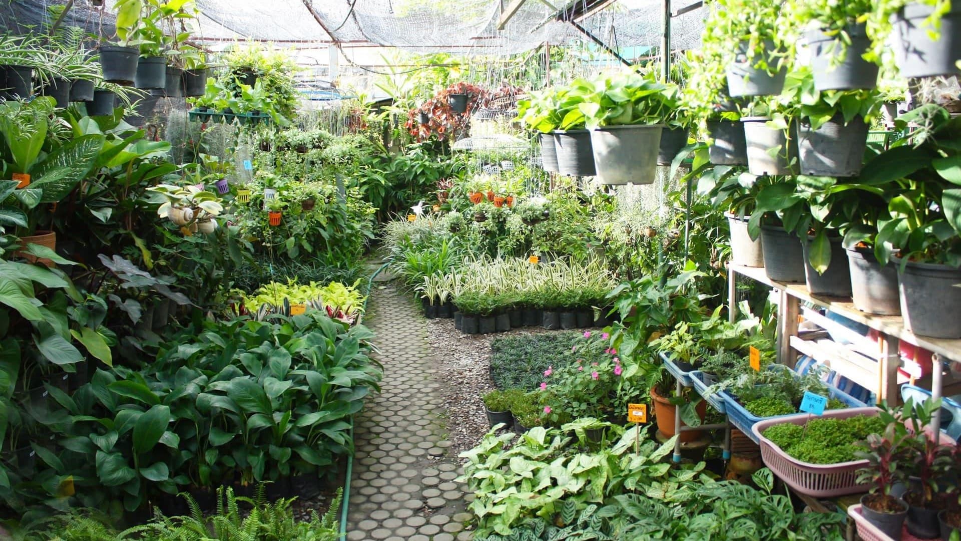 Centro de jardinería con más de 15 años de experiencia